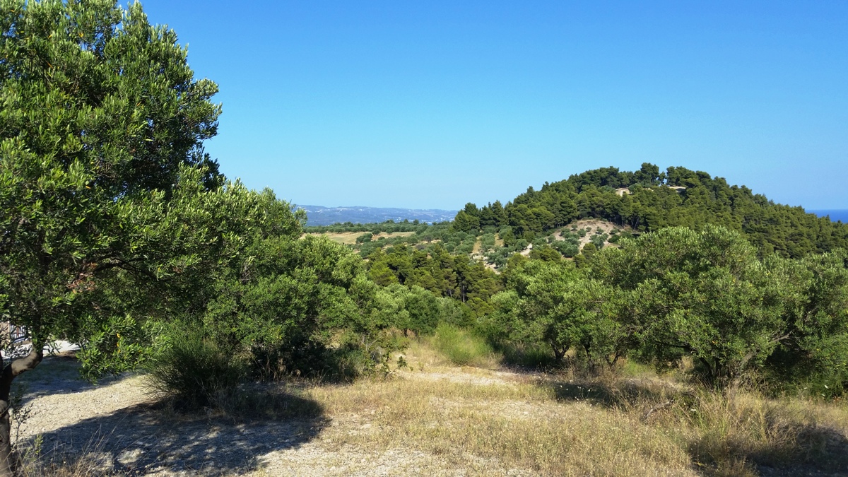 Terrain à Kassandra, Grèce, 9 100 m² - image 6