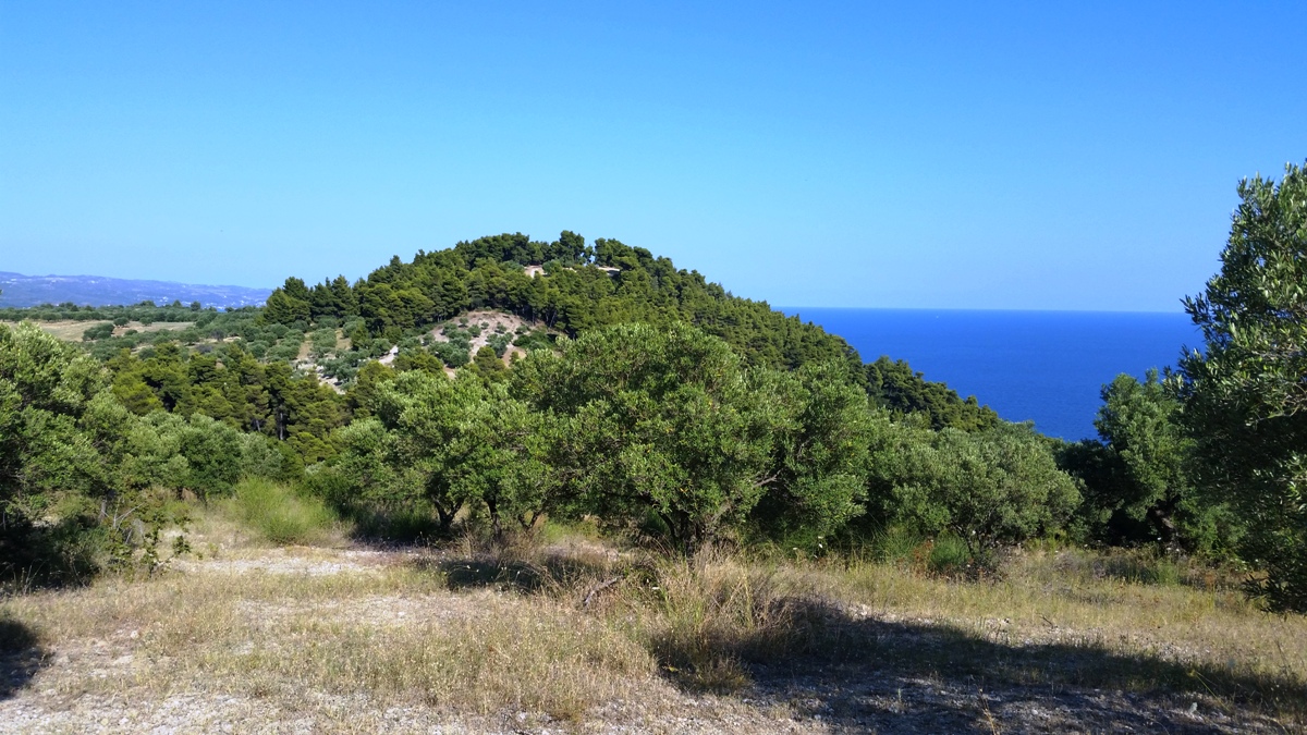 Terrain à Kassandra, Grèce, 9 100 m² - image 7