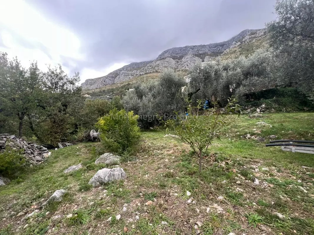 Land in Rezevici, Montenegro - picture 9