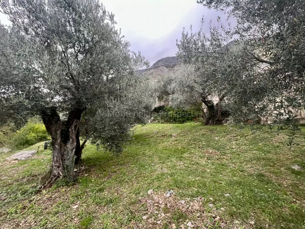 Land in Rezevici, Montenegro - picture 10