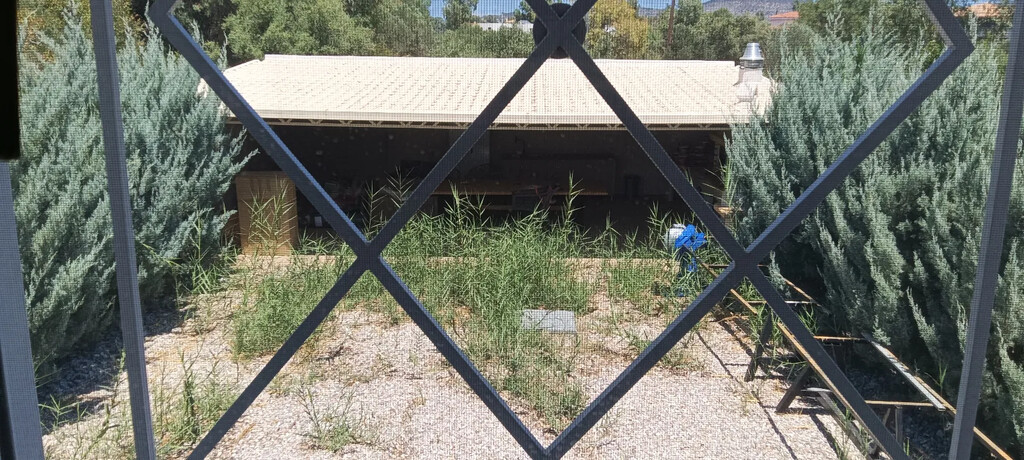 House in Attica, Greece - picture 18