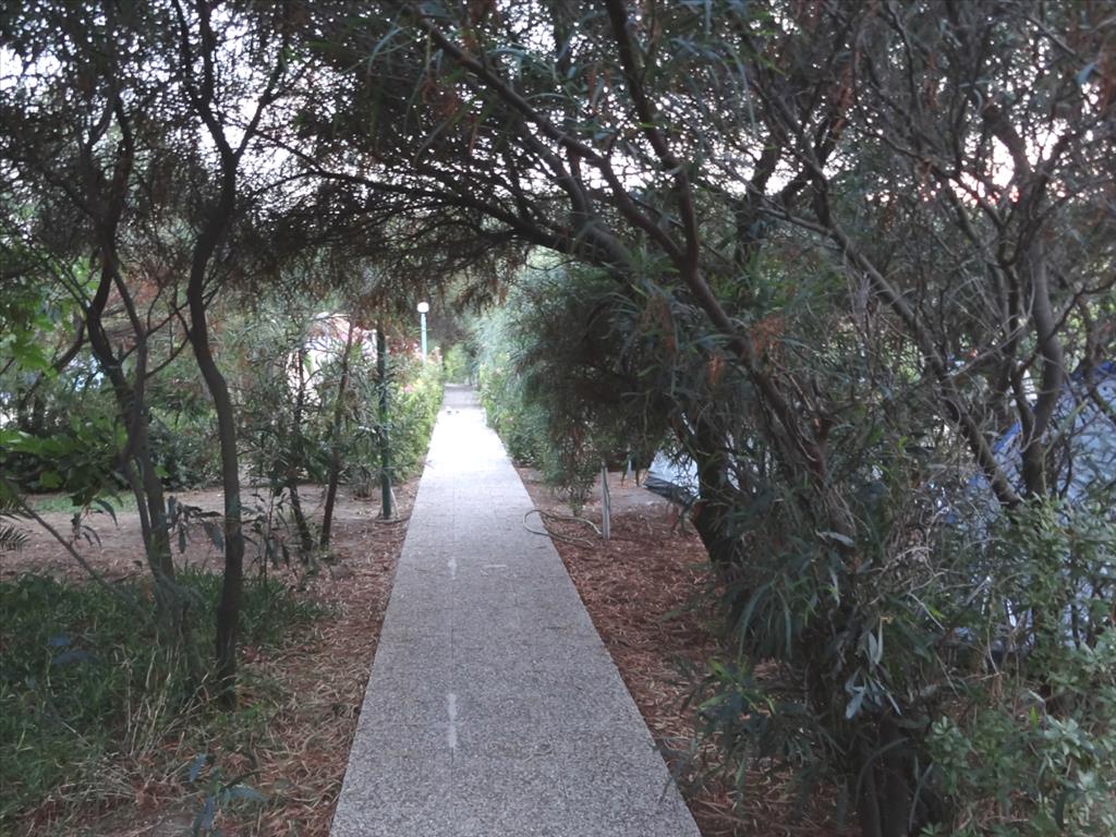 Hotel in Euböa, Griechenland, 1 000 m² - Foto 4