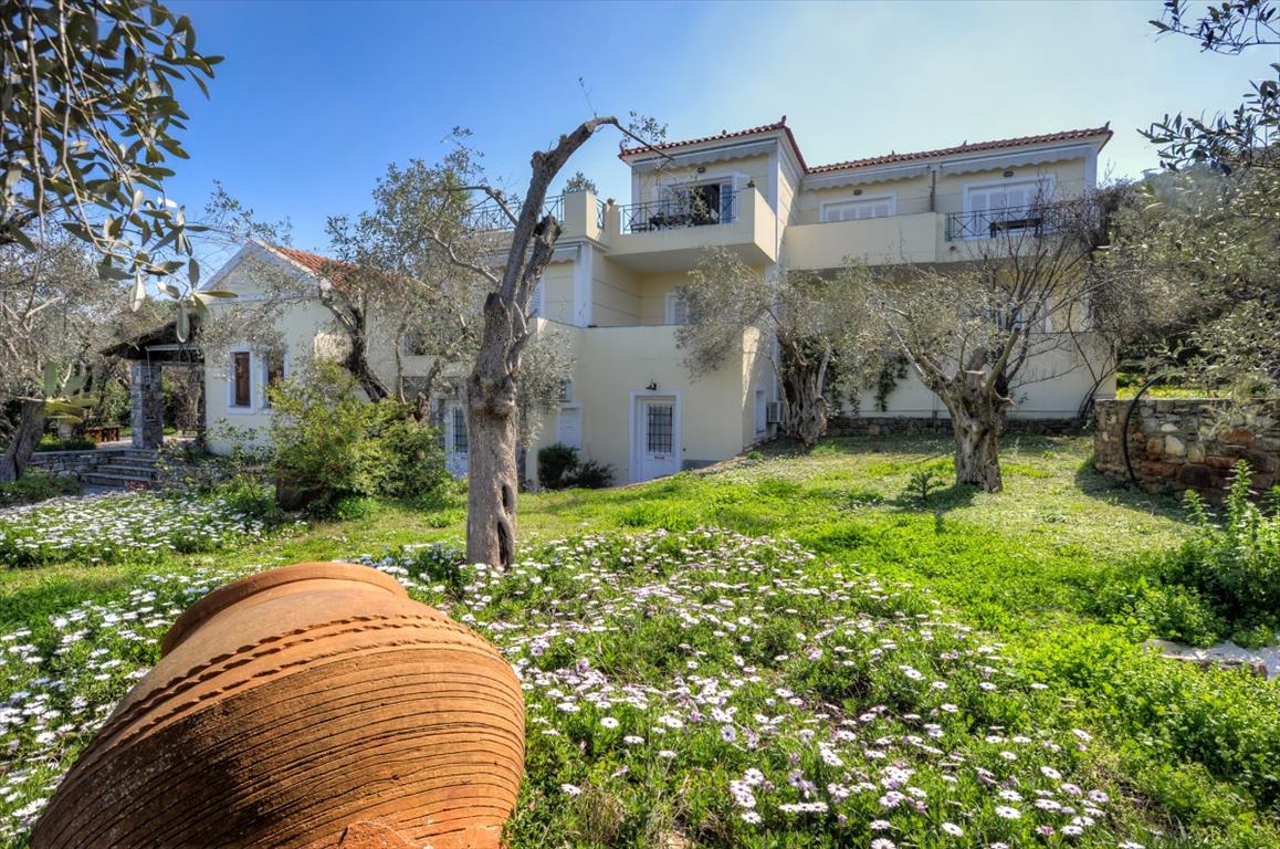 Hotel en Lesbos, Grecia, 1 170 m² - imagen 1