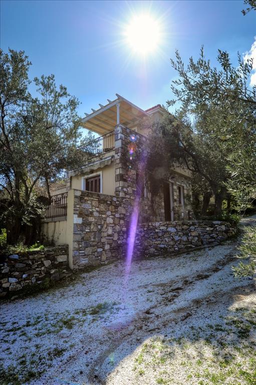 Hotel en Lesbos, Grecia, 1 170 m² - imagen 13