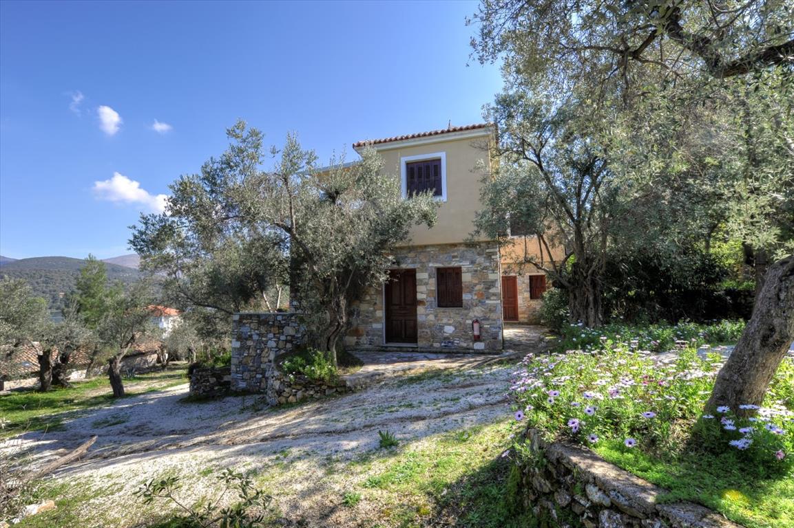 Hotel en Lesbos, Grecia, 1 170 m² - imagen 14