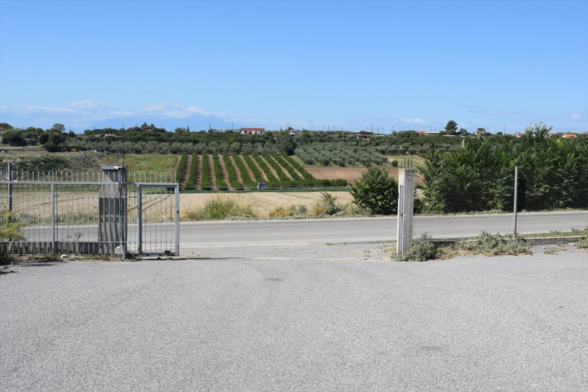 Gewerbeimmobilien in Chalkidiki, Griechenland, 800 m² - Foto 2