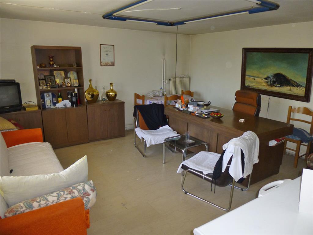 Gewerbeimmobilien in Paralia, Griechenland, 4 800 m² - Foto 12