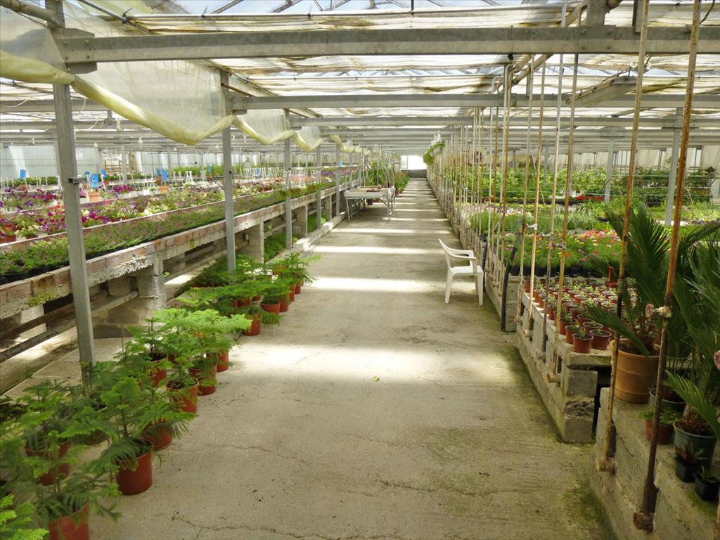 Gewerbeimmobilien in Paralia, Griechenland, 4 800 m² - Foto 6