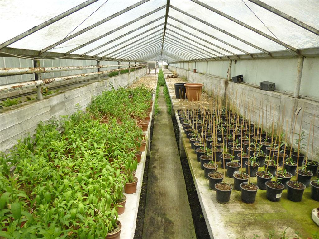 Gewerbeimmobilien in Paralia, Griechenland, 4 800 m² - Foto 9