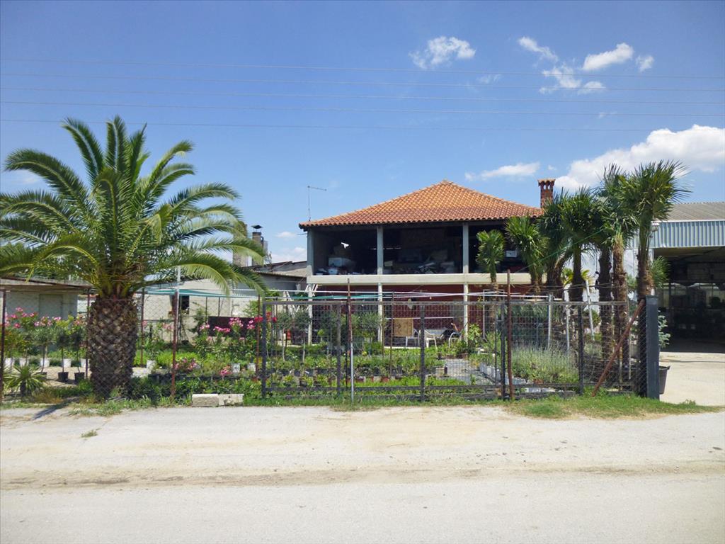 Gewerbeimmobilien in Paralia, Griechenland, 4 800 m² - Foto 2