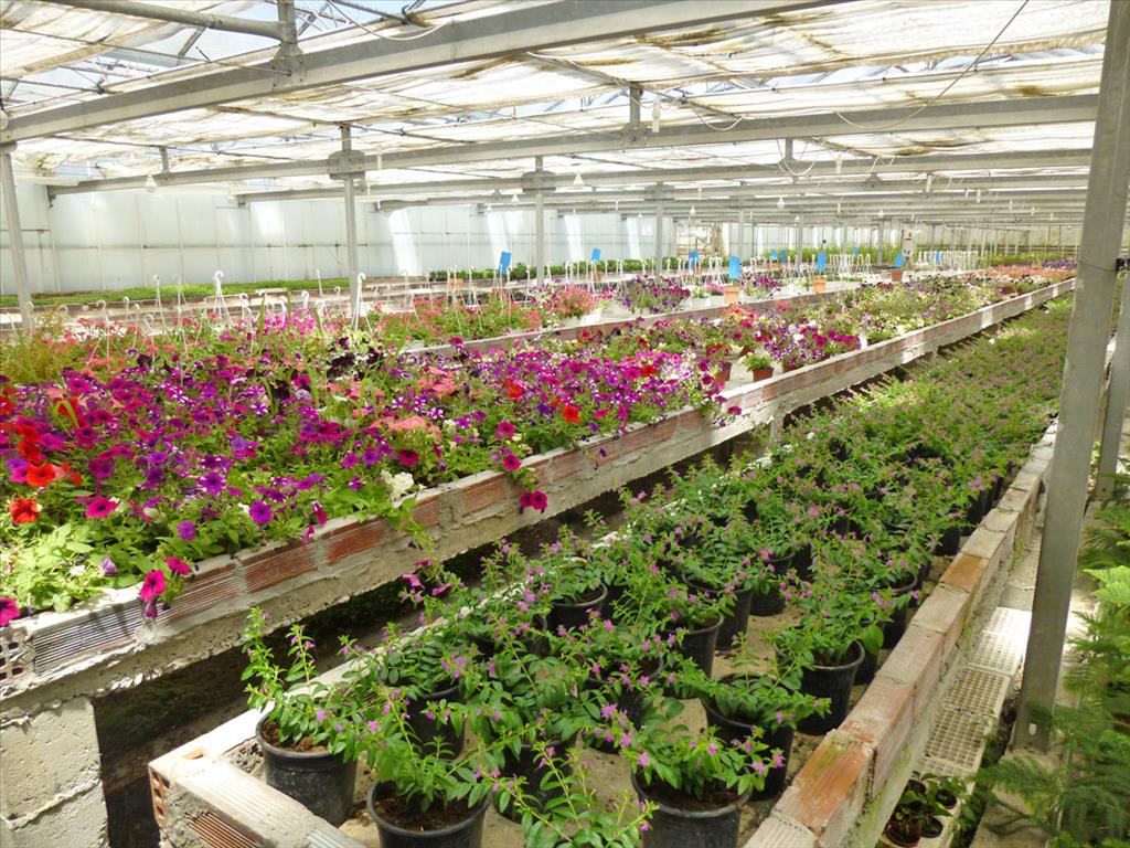 Gewerbeimmobilien in Paralia, Griechenland, 4 800 m² - Foto 1