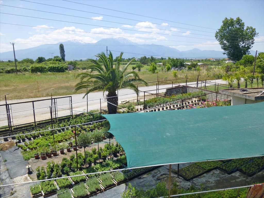 Gewerbeimmobilien in Paralia, Griechenland, 4 800 m² - Foto 14