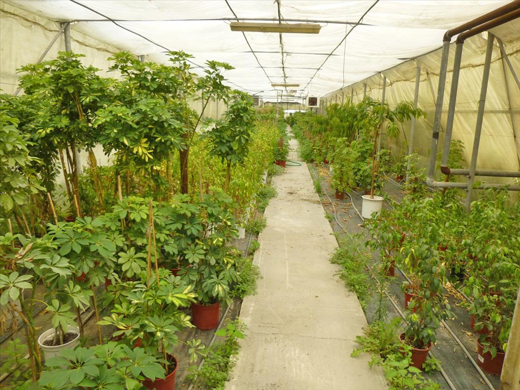 Gewerbeimmobilien in Paralia, Griechenland, 4 800 m² - Foto 10