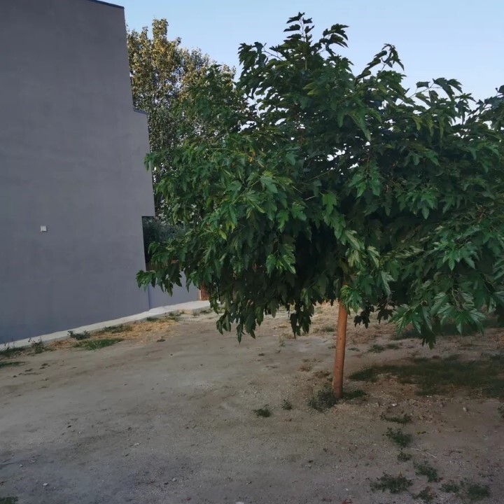 Hôtel en Sithonie, Grèce, 240 m² - image 7