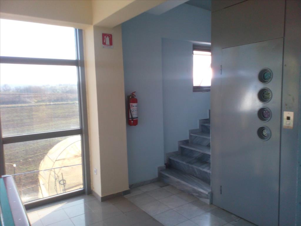 Propiedad comercial en Paralia, Grecia, 1 650 m² - imagen 17