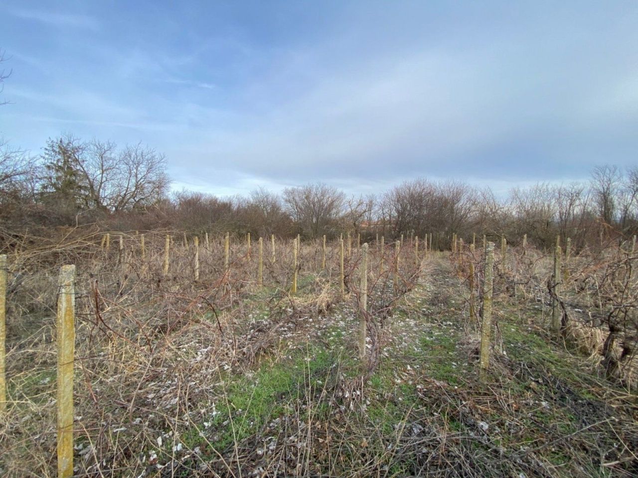 House Chestimensko, Bulgaria, 120 m² - picture 5