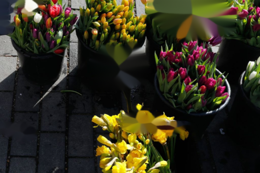 Piso en Londres, Reino Unido, 25 m² - imagen 5