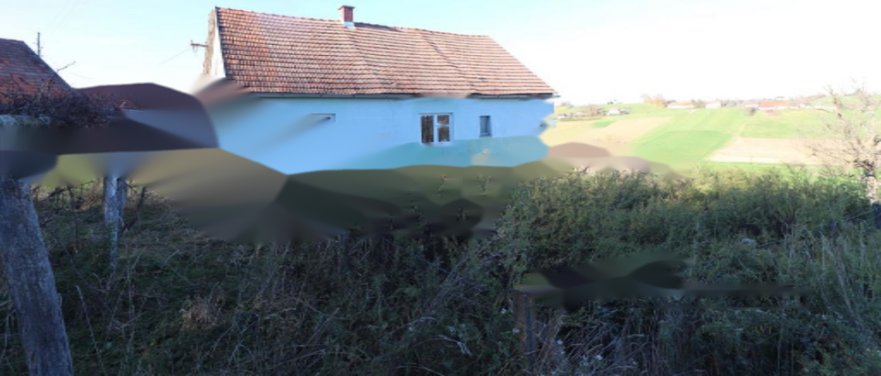 Farm in Lenart, Slovenia, 130 m² - picture 7