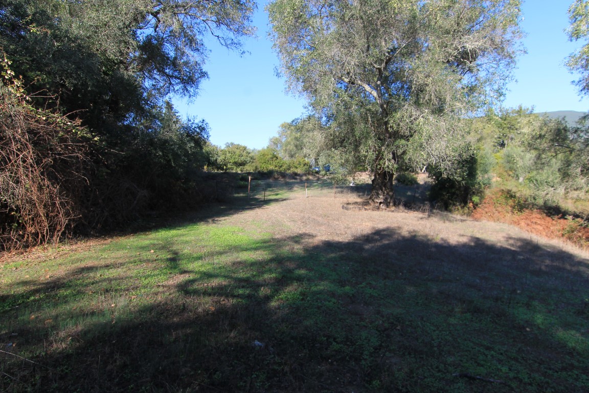 Land in Corfu, Greece, 11 000 m² - picture 2