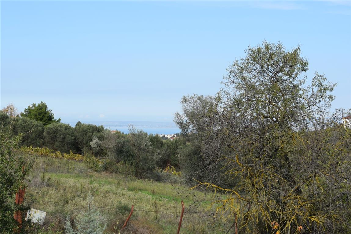 Maisonette in Thessaloniki, Greece, 140 m² - picture 5