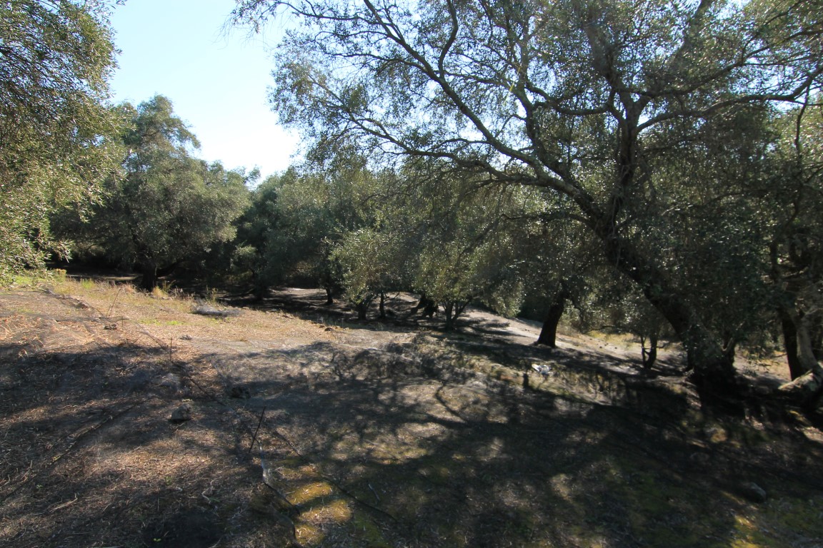 Land in Corfu, Greece, 11 000 m² - picture 6