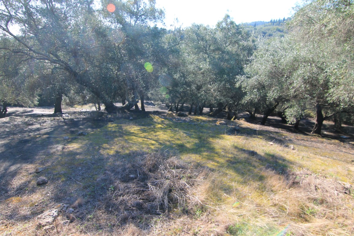 Land in Corfu, Greece, 11 000 m² - picture 7