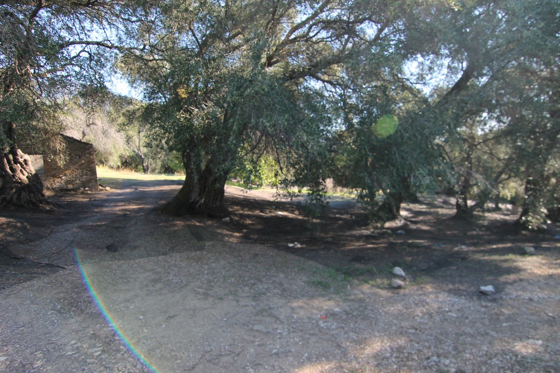 Land in Corfu, Greece, 11 000 m² - picture 14
