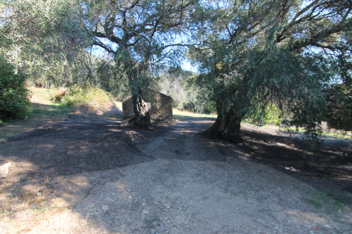 Land in Corfu, Greece, 11 000 m² - picture 15