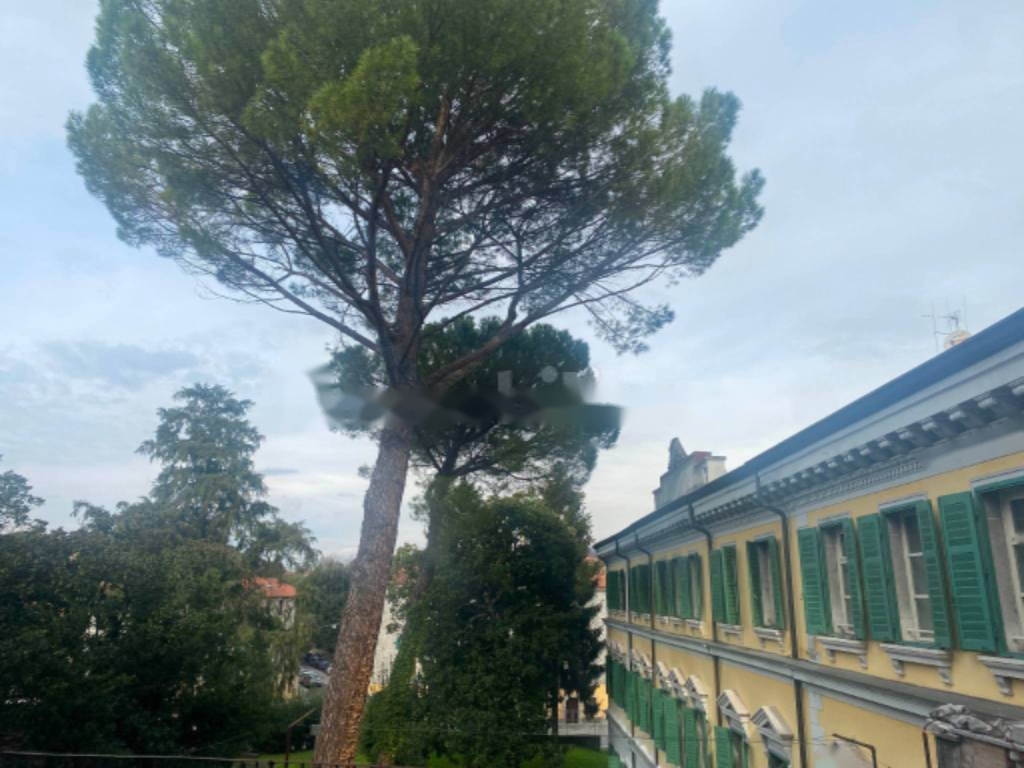 Piso en Gorizia, Italia, 157 m² - imagen 3