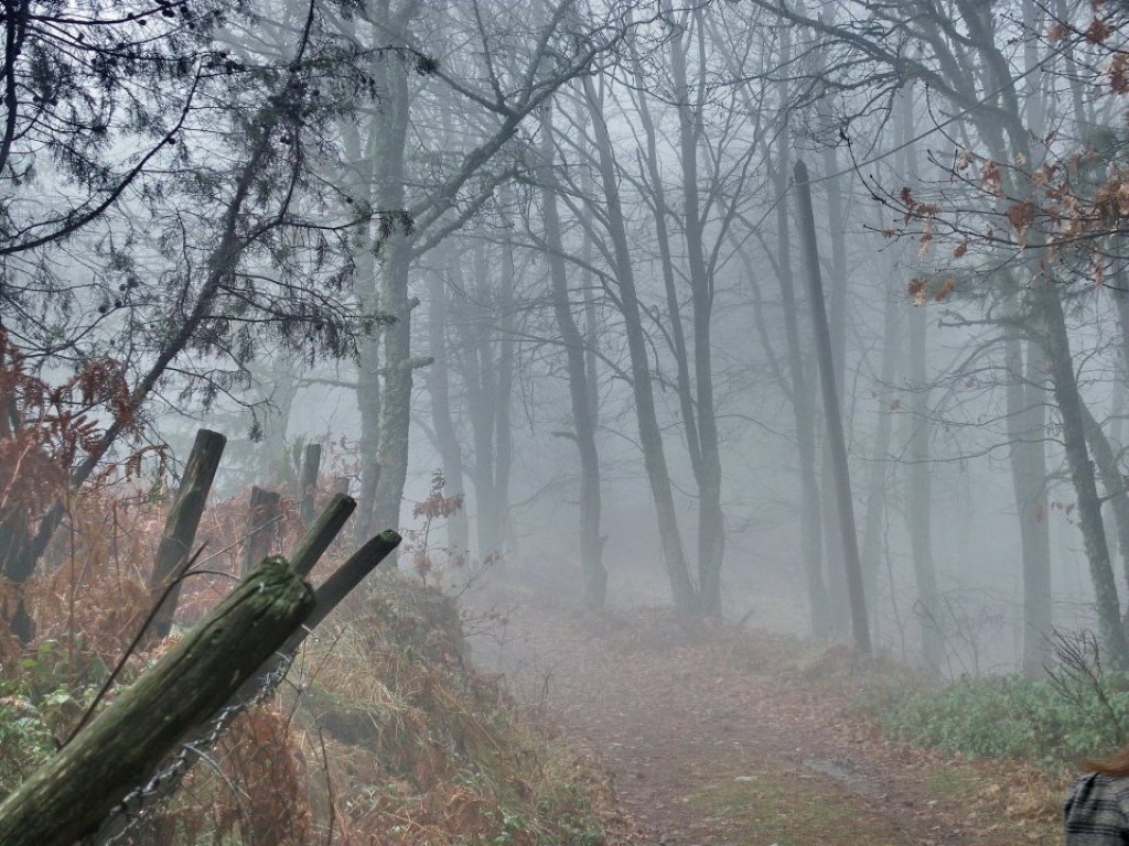 Hotel in Chalkidiki, Griechenland, 580 m² - Foto 5