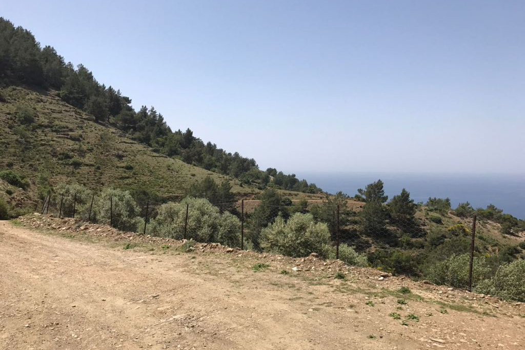 Land in Gazipasa, Turkey, 2 875 m² - picture 2