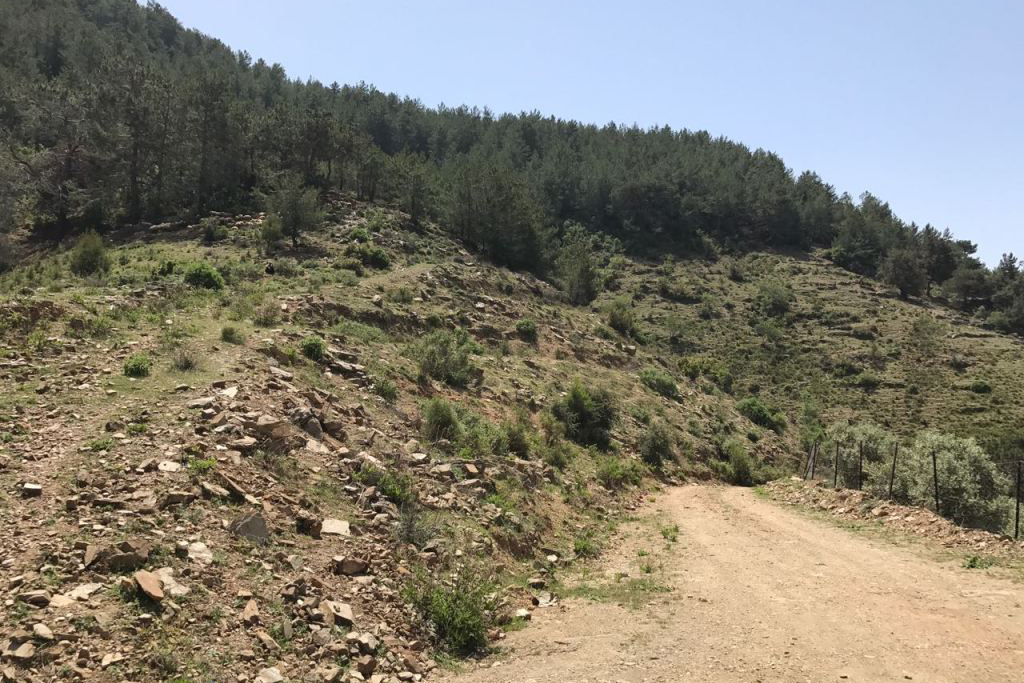 Land in Gazipasa, Turkey, 2 875 m² - picture 3