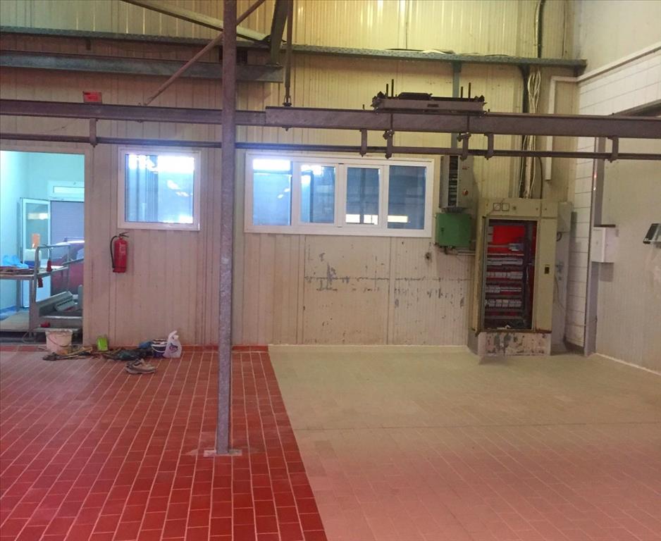 Propiedad comercial en Imathia, Grecia, 10 500 m² - imagen 5