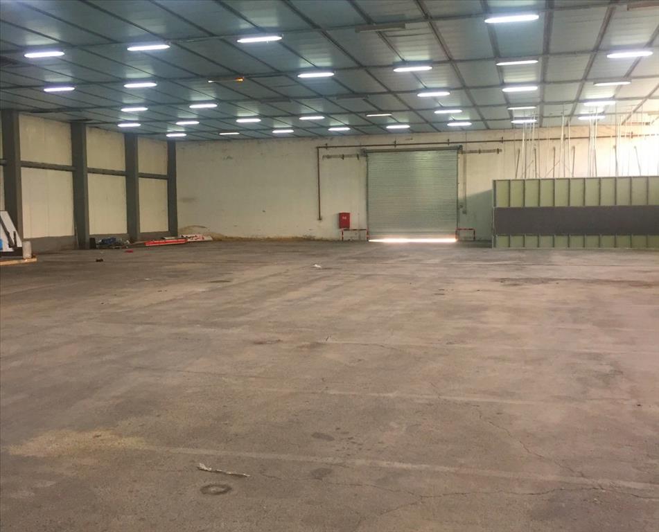 Propiedad comercial en Imathia, Grecia, 10 500 m² - imagen 14