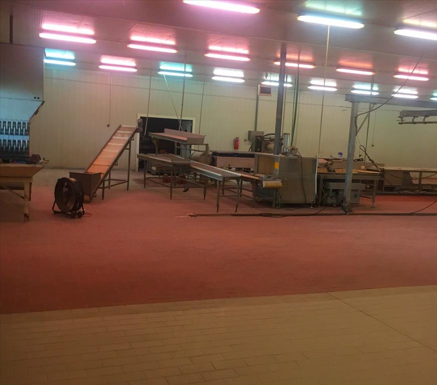 Propiedad comercial en Imathia, Grecia, 10 500 m² - imagen 7