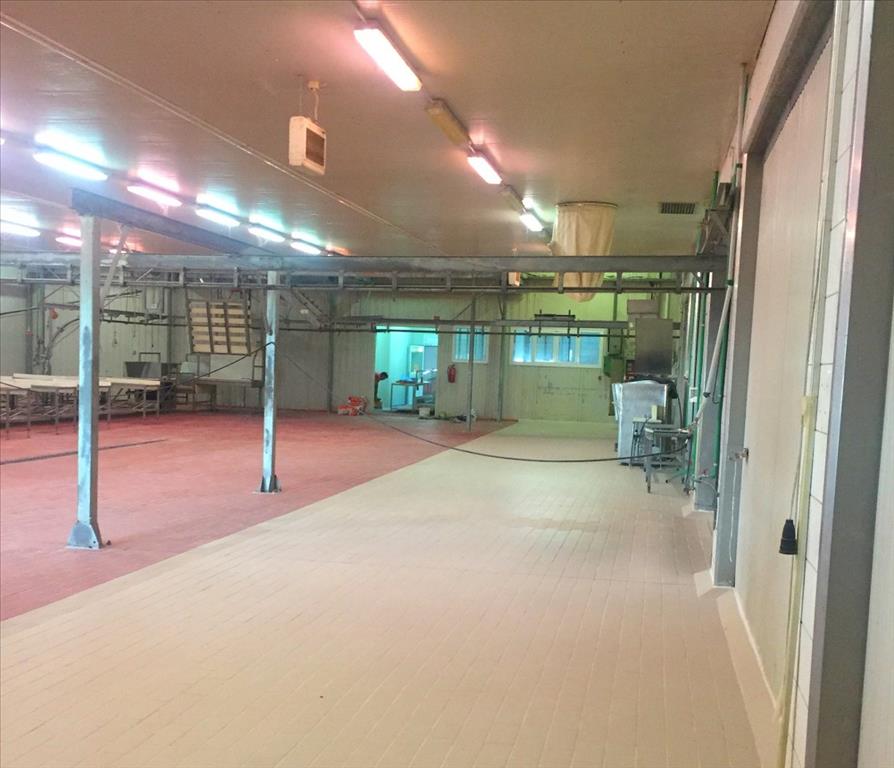 Propiedad comercial en Imathia, Grecia, 10 500 m² - imagen 8