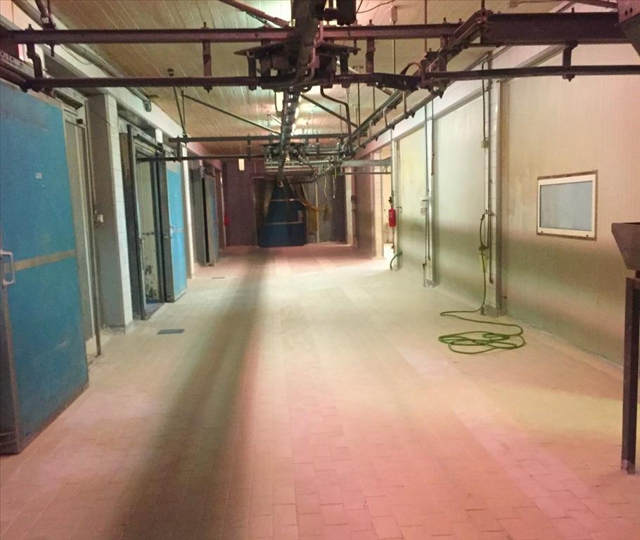 Propiedad comercial en Imathia, Grecia, 10 500 m² - imagen 13