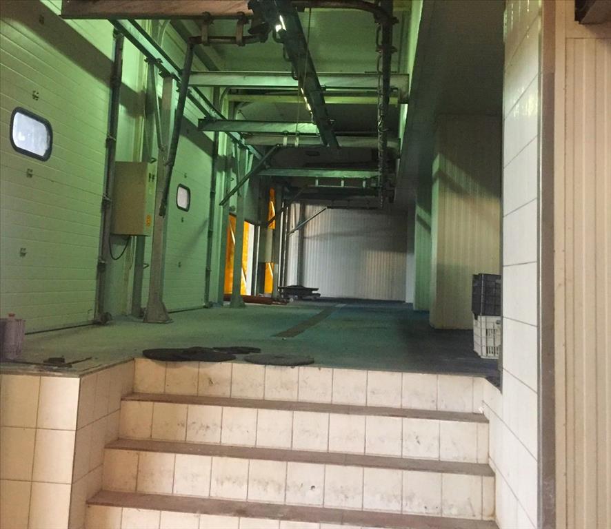 Propiedad comercial en Imathia, Grecia, 10 500 m² - imagen 12