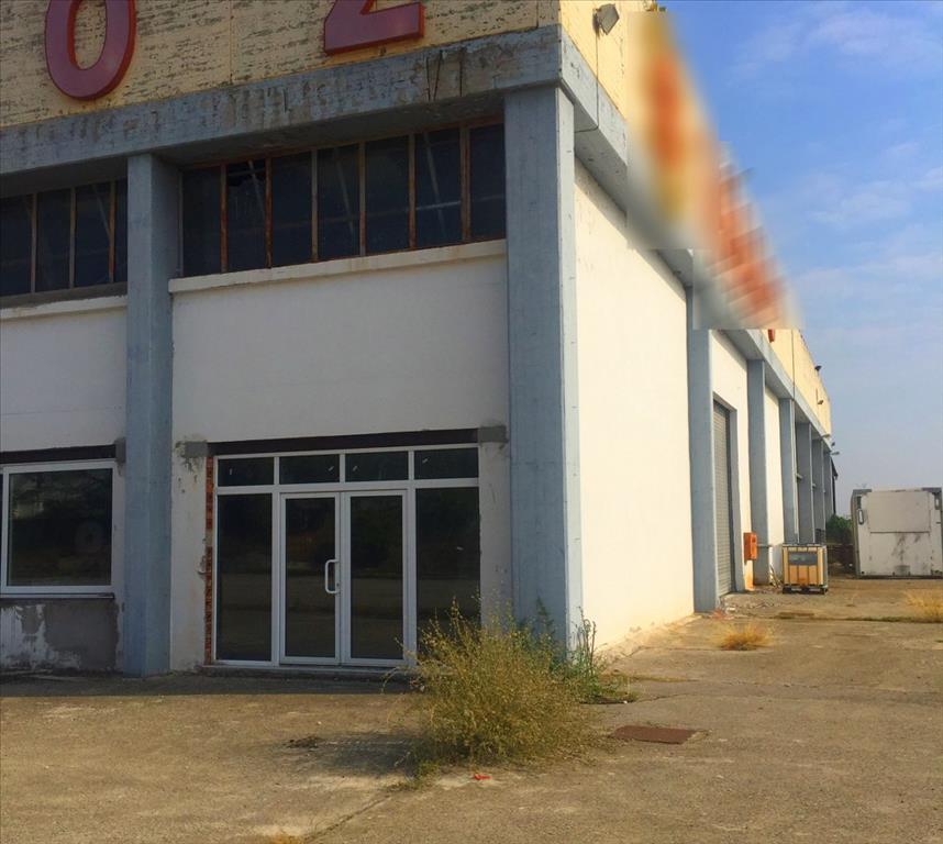 Propiedad comercial en Imathia, Grecia, 10 500 m² - imagen 16