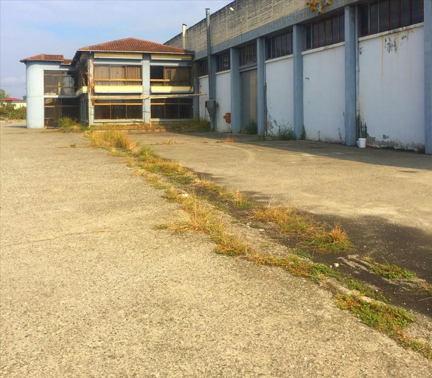 Propiedad comercial en Imathia, Grecia, 10 500 m² - imagen 18