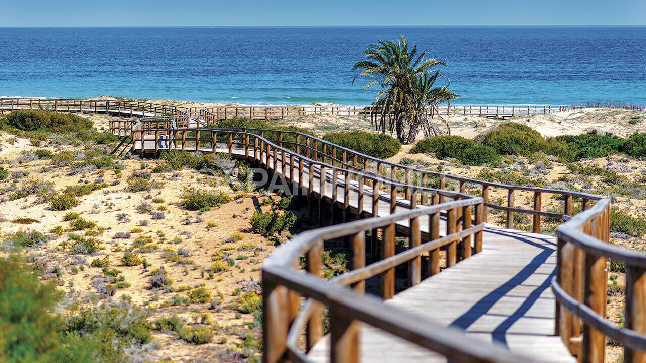 Appartamenti a Monforte del Cid, Spagna, 94 m² - foto 10