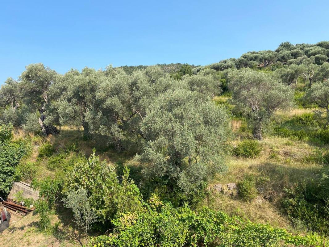 Casa a Bar, Montenegro, 216 m² - foto 14