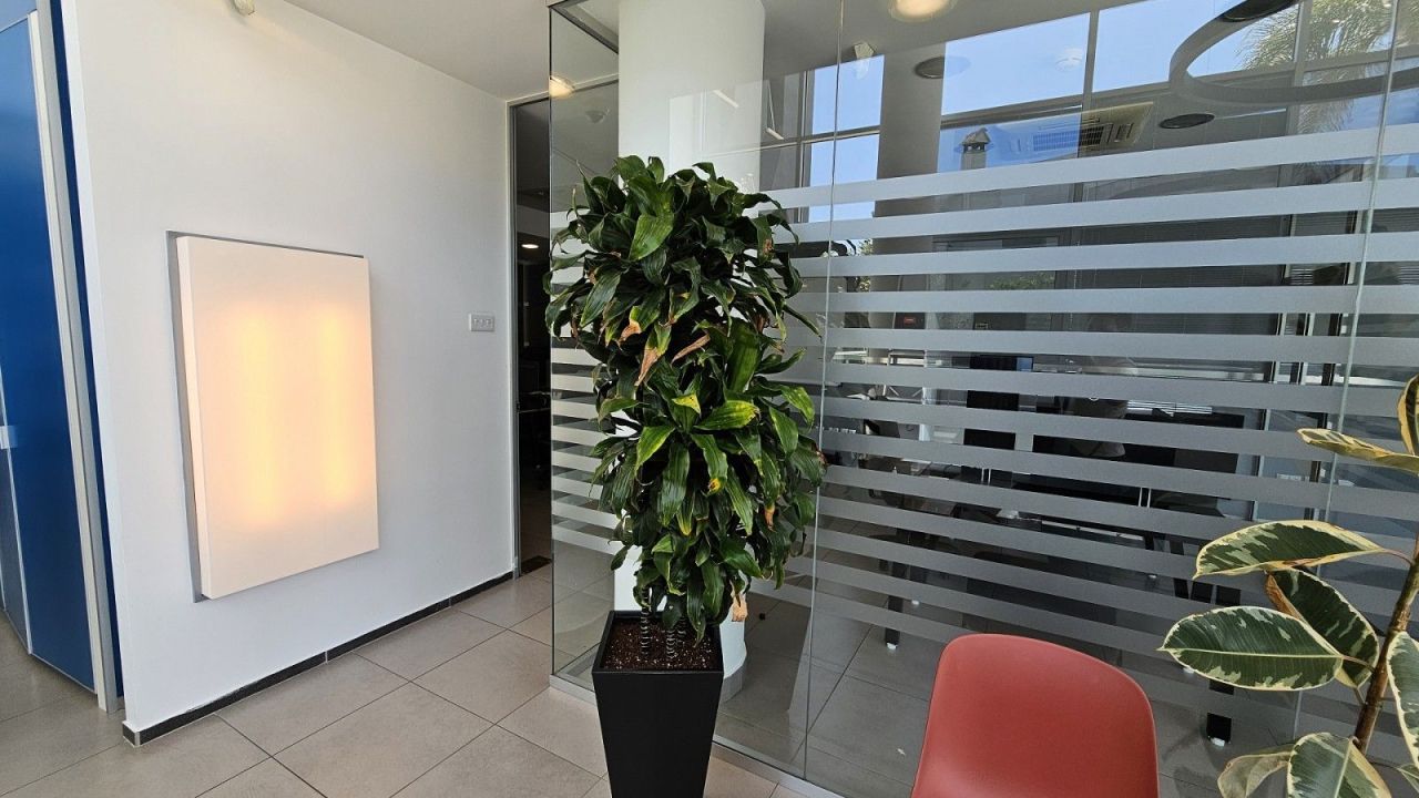 Oficina en Pafos, Chipre, 465 m² - imagen 17