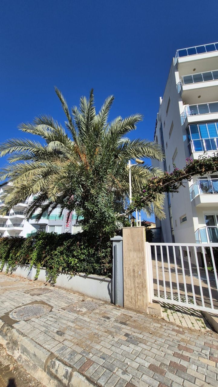 Appartamento a Alanya, Turchia, 45 m² - foto 17