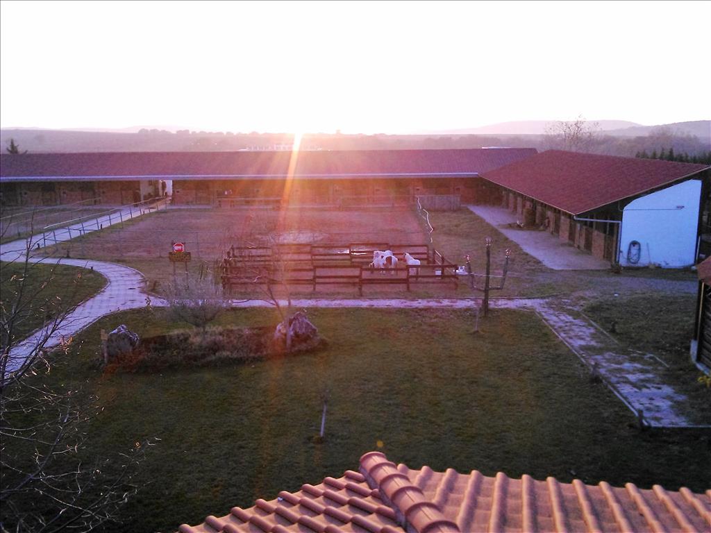 Commercial property in Kilkis, Greece, 1 600 m² - picture 3