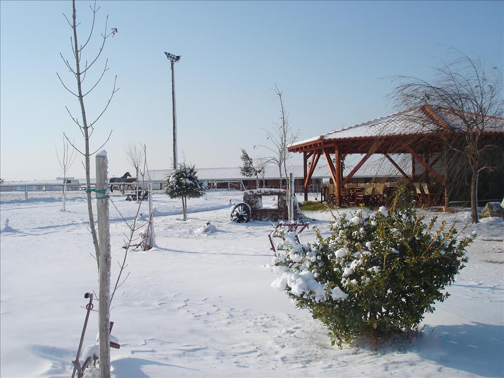 Commercial property in Kilkis, Greece, 1 600 m² - picture 5