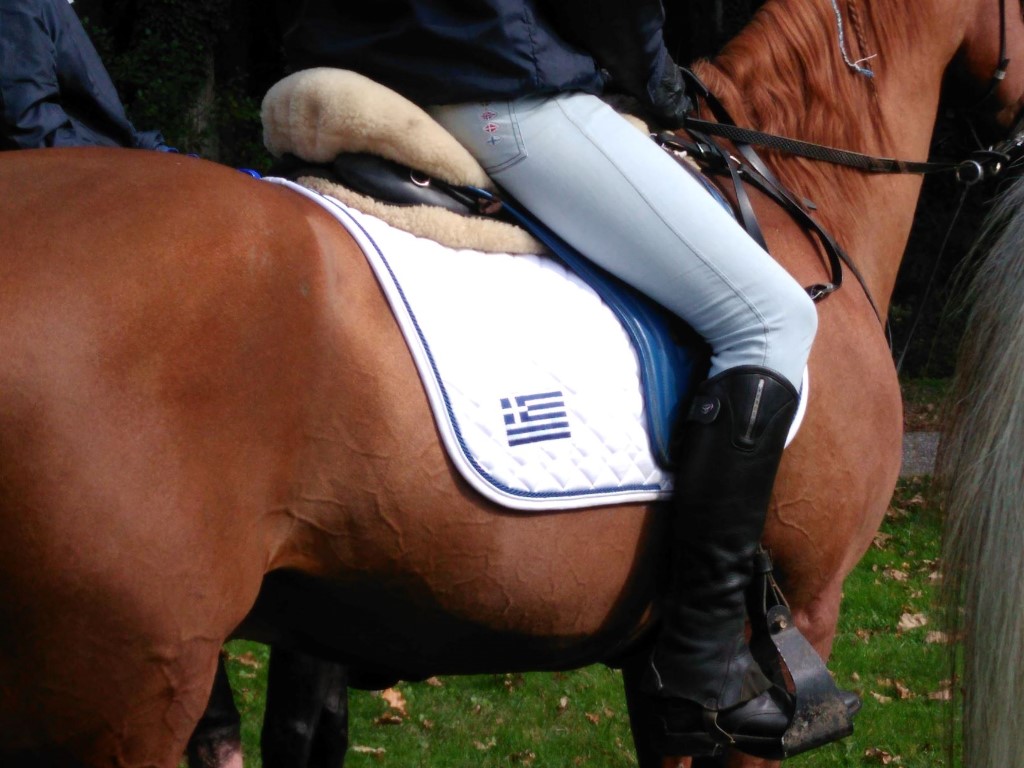 Commercial property in Kilkis, Greece, 1 600 m² - picture 12