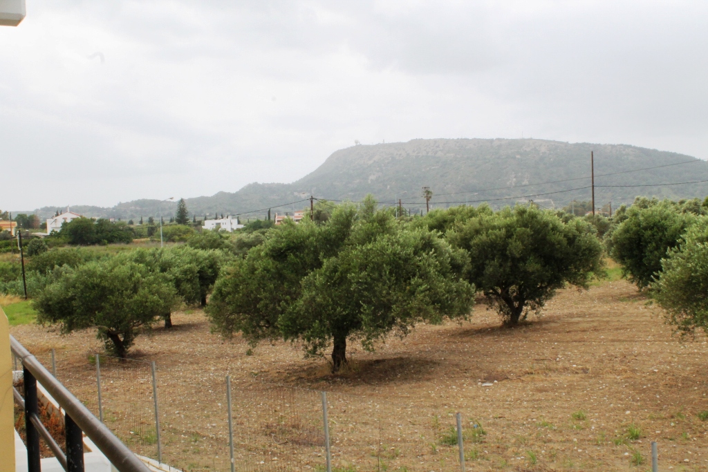 Hotel, albergo a Rodi, Grecia, 1 300 m² - foto 8