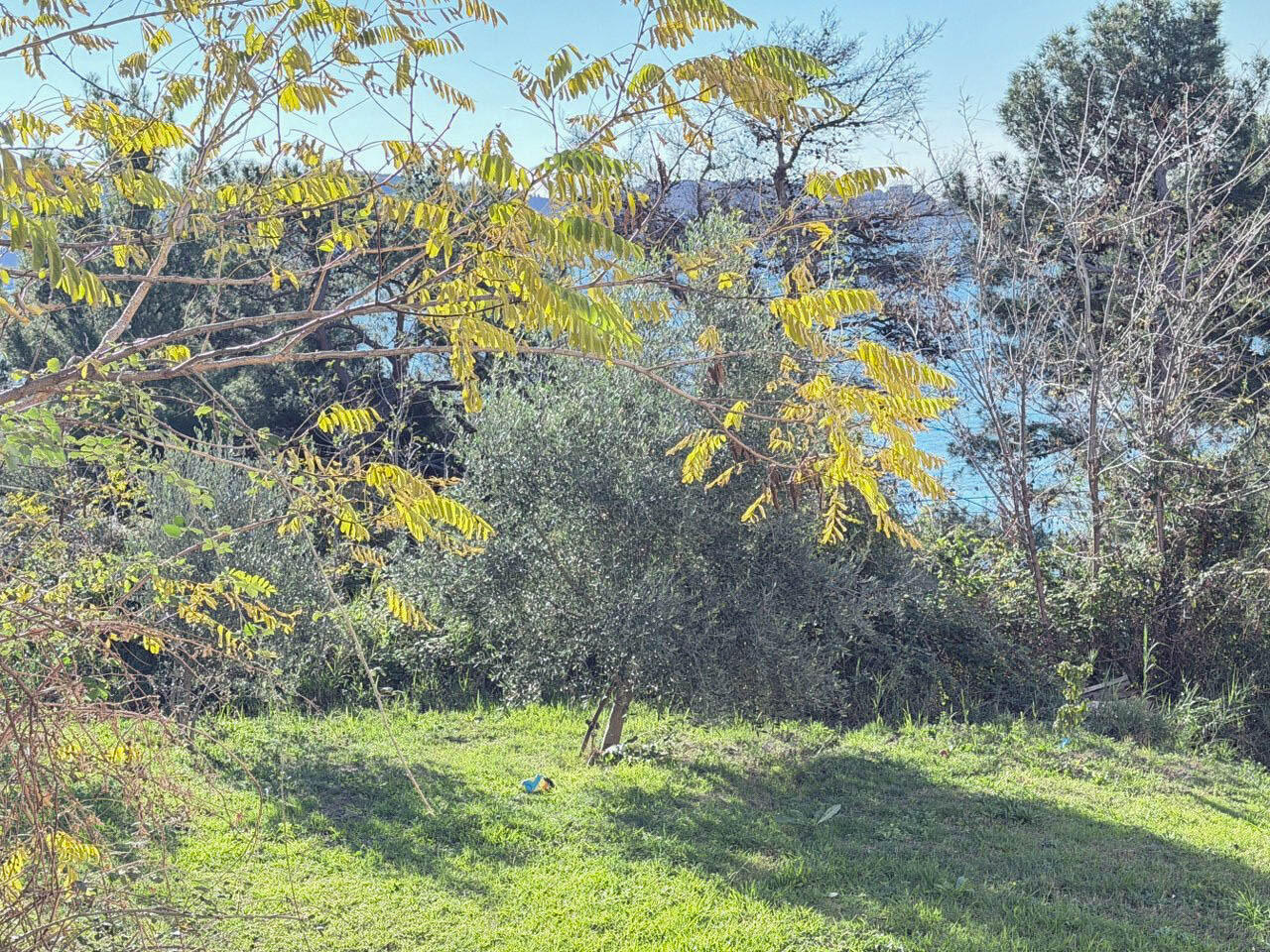 Haus in Bar, Montenegro, 142 m² - Foto 14