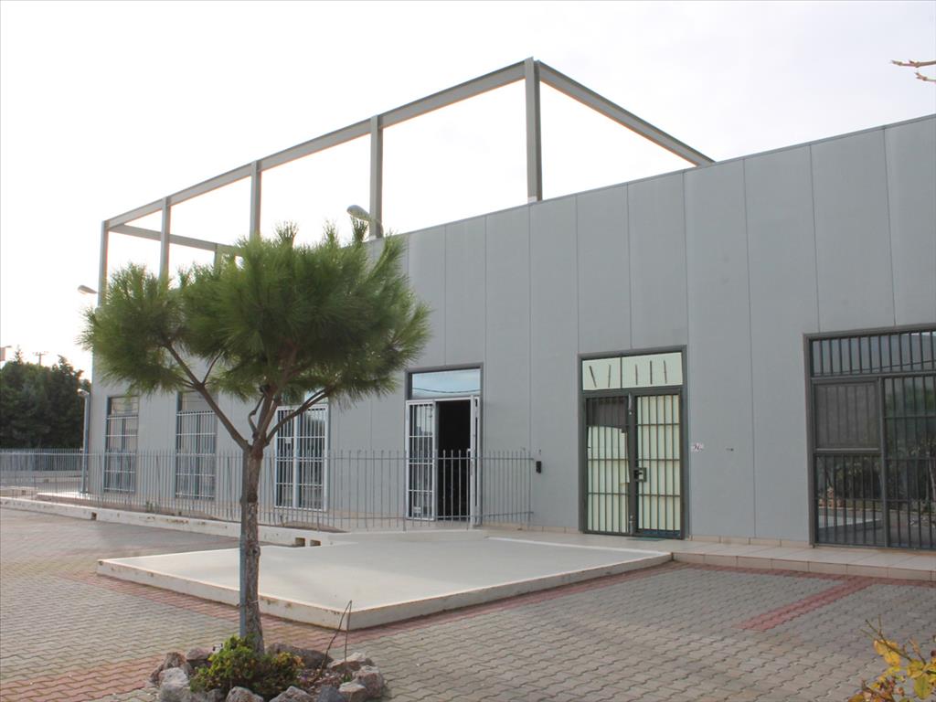 Propiedad comercial en Koropi, Grecia, 774 m² - imagen 2